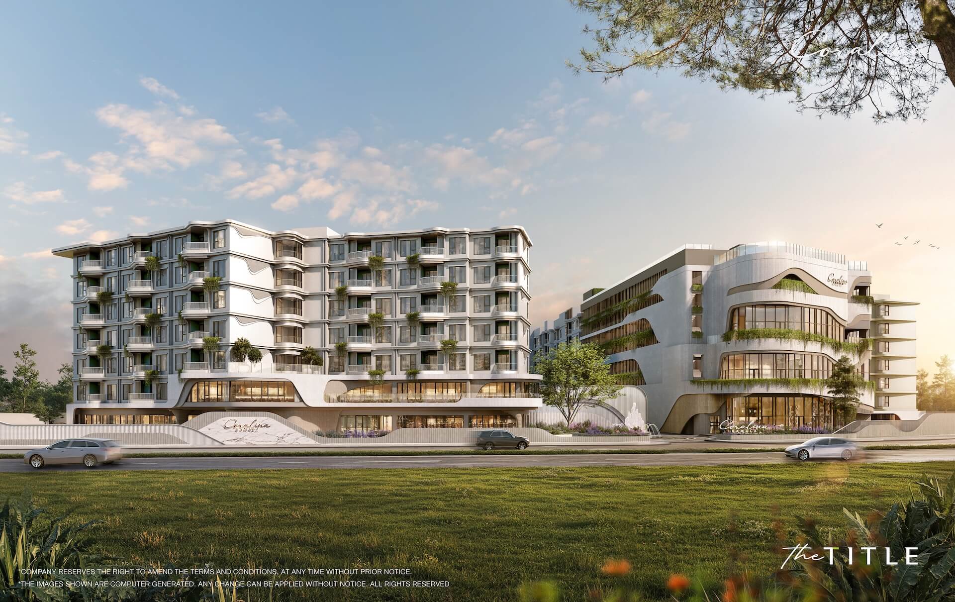 coralina-gallery-ex-6